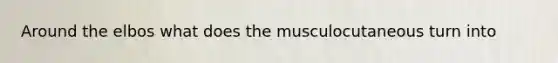 Around the elbos what does the musculocutaneous turn into