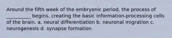 Around the fifth week of the embryonic period, the process of __________ begins, creating the basic information-processing cells of the brain. a. neural differentiation b. neuronal migration c. neurogenesis d. synapse formation