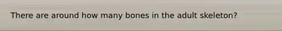 There are around how many bones in the adult skeleton?