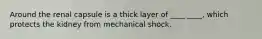 Around the renal capsule is a thick layer of ____ ____, which protects the kidney from mechanical shock.