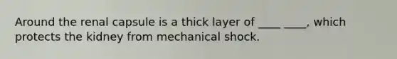 Around the renal capsule is a thick layer of ____ ____, which protects the kidney from mechanical shock.