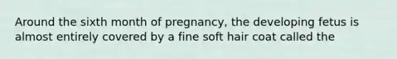 Around the sixth month of pregnancy, the developing fetus is almost entirely covered by a fine soft hair coat called the