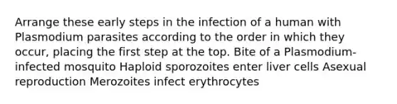 Arrange these early steps in the infection of a human with Plasmodium parasites according to the order in which they occur, placing the first step at the top. Bite of a Plasmodium- infected mosquito Haploid sporozoites enter liver cells Asexual reproduction Merozoites infect erythrocytes