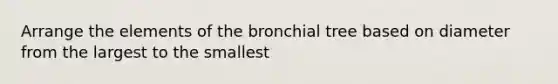 Arrange the elements of the bronchial tree based on diameter from the largest to the smallest