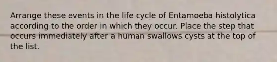 Arrange these events in the life cycle of Entamoeba histolytica according to the order in which they occur. Place the step that occurs immediately after a human swallows cysts at the top of the list.