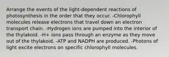 Arrange the events of the light-dependent reactions of photosynthesis in the order that they occur. -Chlorophyll molecules release electrons that travel down an electron transport chain. -Hydrogen ions are pumped into the interior of the thylakoid. -H+ ions pass through an enzyme as they move out of the thylakoid. -ATP and NADPH are produced. -Photons of light excite electrons on specific chlorophyll molecules.