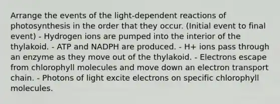 Arrange the events of the light-dependent reactions of photosynthesis in the order that they occur. (Initial event to final event) - Hydrogen ions are pumped into the interior of the thylakoid. - ATP and NADPH are produced. - H+ ions pass through an enzyme as they move out of the thylakoid. - Electrons escape from chlorophyll molecules and move down an electron transport chain. - Photons of light excite electrons on specific chlorophyll molecules.