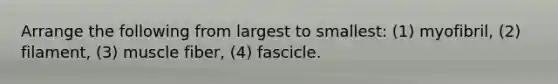 Arrange the following from largest to smallest: (1) myofibril, (2) filament, (3) muscle fiber, (4) fascicle.