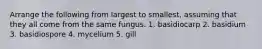 Arrange the following from largest to smallest, assuming that they all come from the same fungus. 1. basidiocarp 2. basidium 3. basidiospore 4. mycelium 5. gill