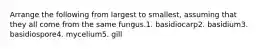 Arrange the following from largest to smallest, assuming that they all come from the same fungus.1. basidiocarp2. basidium3. basidiospore4. mycelium5. gill