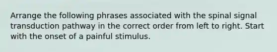 Arrange the following phrases associated with the spinal signal transduction pathway in the correct order from left to right. Start with the onset of a painful stimulus.