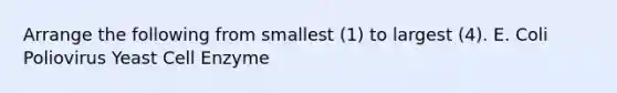 Arrange the following from smallest (1) to largest (4). E. Coli Poliovirus Yeast Cell Enzyme