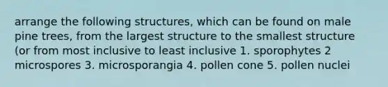 arrange the following structures, which can be found on male pine trees, from the largest structure to the smallest structure (or from most inclusive to least inclusive 1. sporophytes 2 microspores 3. microsporangia 4. pollen cone 5. pollen nuclei