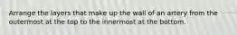 Arrange the layers that make up the wall of an artery from the outermost at the top to the innermost at the bottom.