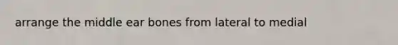 arrange the middle ear bones from lateral to medial