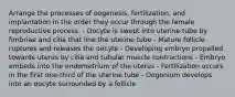 Arrange the processes of oogenesis, fertilization, and implantation in the order they occur through the female reproductive process. - Oocyte is swept into uterine tube by fimbriae and cilia that line the uterine tube - Mature follicle ruptures and releases the oocyte - Developing embryo propelled towards uterus by cilia and tubular muscle contractions - Embryo embeds into the endometrium of the uterus - Fertilization occurs in the first one-third of the uterine tube - Oogonium develops into an oocyte surrounded by a follicle