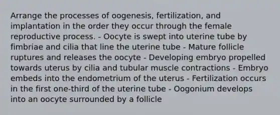 Arrange the processes of oogenesis, fertilization, and implantation in the order they occur through the female reproductive process. - Oocyte is swept into uterine tube by fimbriae and cilia that line the uterine tube - Mature follicle ruptures and releases the oocyte - Developing embryo propelled towards uterus by cilia and tubular muscle contractions - Embryo embeds into the endometrium of the uterus - Fertilization occurs in the first one-third of the uterine tube - Oogonium develops into an oocyte surrounded by a follicle