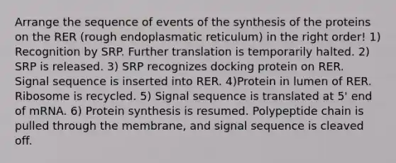 Arrange the sequence of events of the synthesis of the proteins on the RER (rough endoplasmatic reticulum) in the right order! 1) Recognition by SRP. Further translation is temporarily halted. 2) SRP is released. 3) SRP recognizes docking protein on RER. Signal sequence is inserted into RER. 4)Protein in lumen of RER. Ribosome is recycled. 5) Signal sequence is translated at 5' end of mRNA. 6) Protein synthesis is resumed. Polypeptide chain is pulled through the membrane, and signal sequence is cleaved off.