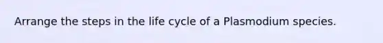 Arrange the steps in the life cycle of a Plasmodium species.