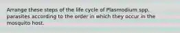 Arrange these steps of the life cycle of Plasmodium spp. parasites according to the order in which they occur in the mosquito host.