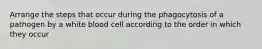 Arrange the steps that occur during the phagocytosis of a pathogen by a white blood cell according to the order in which they occur