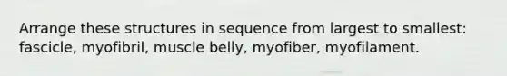 Arrange these structures in sequence from largest to smallest: fascicle, myofibril, muscle belly, myofiber, myofilament.