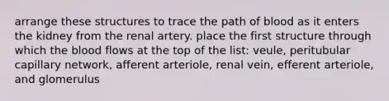 arrange these structures to trace the path of blood as it enters the kidney from the renal artery. place the first structure through which the blood flows at the top of the list: veule, peritubular capillary network, afferent arteriole, renal vein, efferent arteriole, and glomerulus