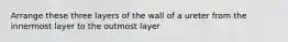 Arrange these three layers of the wall of a ureter from the innermost layer to the outmost layer