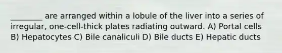 ________ are arranged within a lobule of the liver into a series of irregular, one-cell-thick plates radiating outward. A) Portal cells B) Hepatocytes C) Bile canaliculi D) Bile ducts E) Hepatic ducts