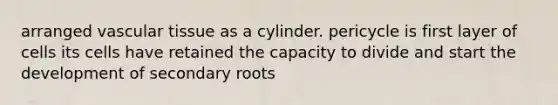 arranged <a href='https://www.questionai.com/knowledge/k1HVFq17mo-vascular-tissue' class='anchor-knowledge'>vascular tissue</a> as a cylinder. pericycle is first layer of cells its cells have retained the capacity to divide and start the development of secondary roots