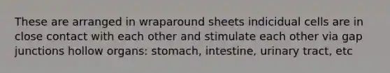 These are arranged in wraparound sheets indicidual cells are in close contact with each other and stimulate each other via gap junctions hollow organs: stomach, intestine, urinary tract, etc