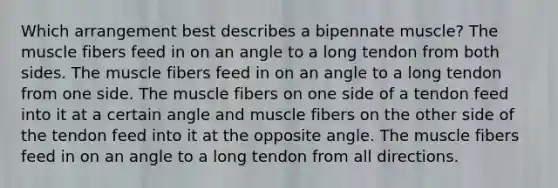 Which arrangement best describes a bipennate muscle? The muscle fibers feed in on an angle to a long tendon from both sides. The muscle fibers feed in on an angle to a long tendon from one side. The muscle fibers on one side of a tendon feed into it at a certain angle and muscle fibers on the other side of the tendon feed into it at the opposite angle. The muscle fibers feed in on an angle to a long tendon from all directions.