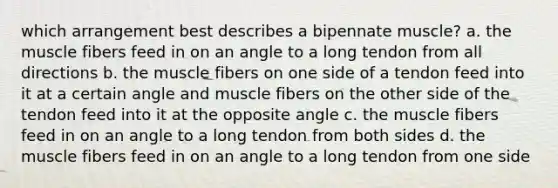 which arrangement best describes a bipennate muscle? a. the muscle fibers feed in on an angle to a long tendon from all directions b. the muscle fibers on one side of a tendon feed into it at a certain angle and muscle fibers on the other side of the tendon feed into it at the opposite angle c. the muscle fibers feed in on an angle to a long tendon from both sides d. the muscle fibers feed in on an angle to a long tendon from one side