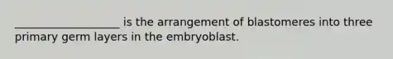 ___________________ is the arrangement of blastomeres into three primary germ layers in the embryoblast.