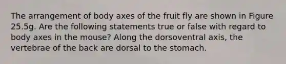 The arrangement of body axes of the fruit fly are shown in Figure 25.5g. Are the following statements true or false with regard to body axes in the mouse? Along the dorsoventral axis, the vertebrae of the back are dorsal to the stomach.