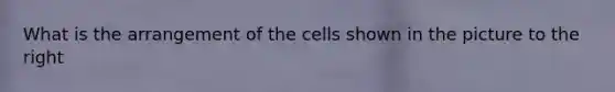 What is the arrangement of the cells shown in the picture to the right