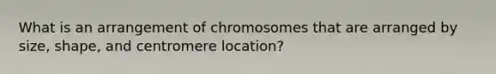 What is an arrangement of chromosomes that are arranged by size, shape, and centromere location?