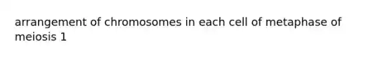 arrangement of chromosomes in each cell of metaphase of meiosis 1