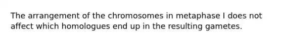 The arrangement of the chromosomes in metaphase I does not affect which homologues end up in the resulting gametes.