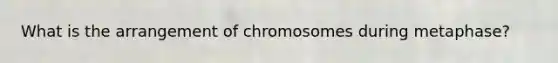 What is the arrangement of chromosomes during metaphase?