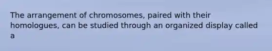 The arrangement of chromosomes, paired with their homologues, can be studied through an organized display called a