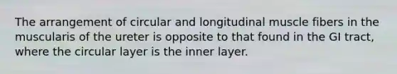 The arrangement of circular and longitudinal muscle fibers in the muscularis of the ureter is opposite to that found in the GI tract, where the circular layer is the inner layer.