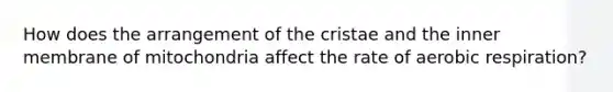 How does the arrangement of the cristae and the inner membrane of mitochondria affect the rate of <a href='https://www.questionai.com/knowledge/kyxGdbadrV-aerobic-respiration' class='anchor-knowledge'>aerobic respiration</a>?