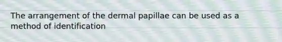 The arrangement of the dermal papillae can be used as a method of identification