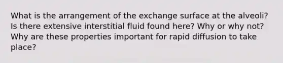 What is the arrangement of the exchange surface at the alveoli? Is there extensive interstitial fluid found here? Why or why not? Why are these properties important for rapid diffusion to take place?