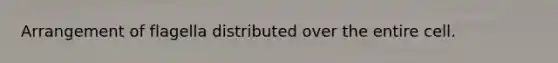 Arrangement of flagella distributed over the entire cell.