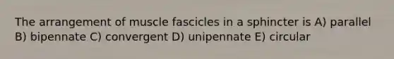 The arrangement of muscle fascicles in a sphincter is A) parallel B) bipennate C) convergent D) unipennate E) circular