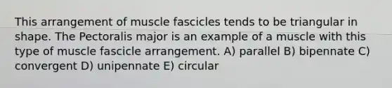 This arrangement of muscle fascicles tends to be triangular in shape. The Pectoralis major is an example of a muscle with this type of muscle fascicle arrangement. A) parallel B) bipennate C) convergent D) unipennate E) circular