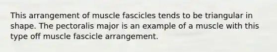 This arrangement of muscle fascicles tends to be triangular in shape. The pectoralis major is an example of a muscle with this type off muscle fascicle arrangement.