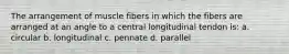 The arrangement of muscle fibers in which the fibers are arranged at an angle to a central longitudinal tendon is: a. circular b. longitudinal c. pennate d. parallel